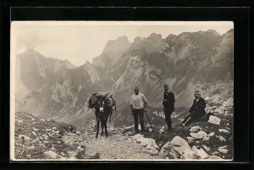 AK Bergsteiger mit Packtieren vor Panorama