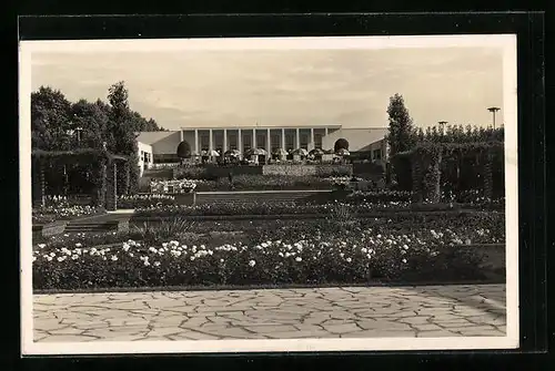 AK Essen /Ruhr, Grugapark, Rosenanlagen mit Rosenkaffee