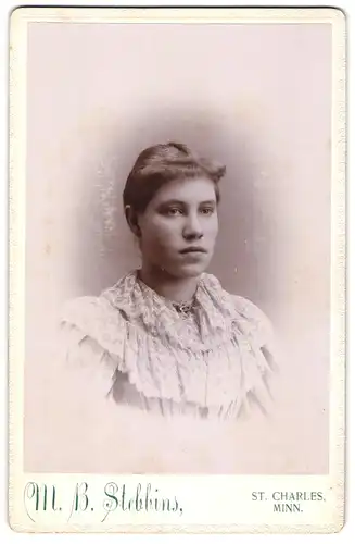 Fotografie M. B. Stebbins, St. Charles, Minn., Junge Dame im Kleid