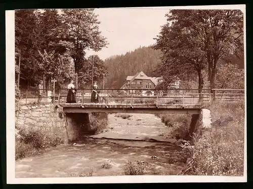 Fotografie Brück & Sohn Meissen, Ansicht Oberbärenburg, Waldwiese mit Bachlauf und Brücke