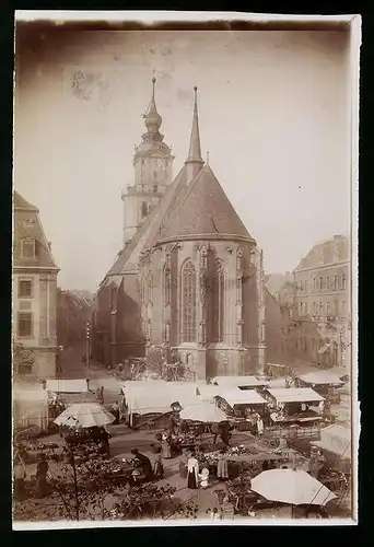 Fotografie Brück & Sohn Meissen, Ansicht Weissenfels / Saale, Blick auf die Marienkirche mit Marktständen
