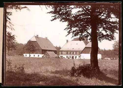 Fotografie Brück & Sohn Meissen, Ansicht Deutsch-Einsiedel, Blick auf das Gutshaus Bad Einsiedel