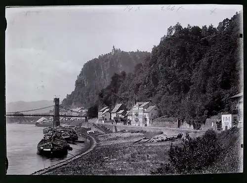 Fotografie Brück & Sohn Meissen, Ansicht Bodenbach / Elbe, Frachtkähne an der Schäferwand und Spitzberg