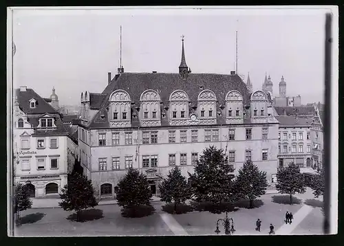 Fotografie Brück & Sohn Meissen, Ansicht Naumburg / Saale, Blick auf das Rathaus mit Apotheke