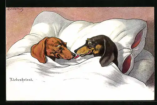 Künstler-AK Fritz Quidenus: Liebesheirat zwischen zwei Dackeln