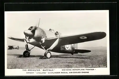 AK The Brewster Buffalo, mid-wing monoplane fighter, wright cyclone 9 cylinder radial air-cooled engine