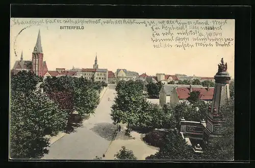 AK Bitterfeld, Teilansicht mit Strasse und Denkmal