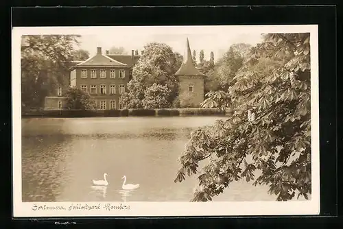 AK Dortmund, Partie im Schlosspark Romberg