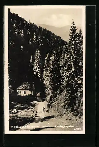 AK Wald, Waldweg an der Liesingkapelle