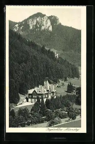 AK Mürzsteg, Jagdschloss aus der Vogelschau