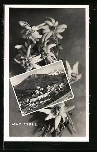 AK Mariazell, Ortsansicht, Edelweiss