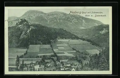 AK Neuberg-Dorf, Motiv mit Schneealpe