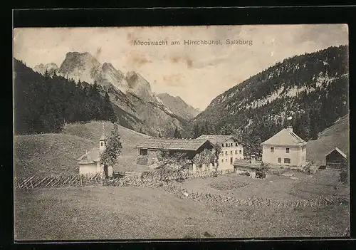 AK St. Martin b. Lofer, Mooswacht am Hirschbühel, Blick auf das Dorf und die Berge