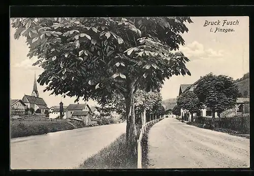 AK Bruck Fusch i. Pinzgau, Strassenpartie am Fluss