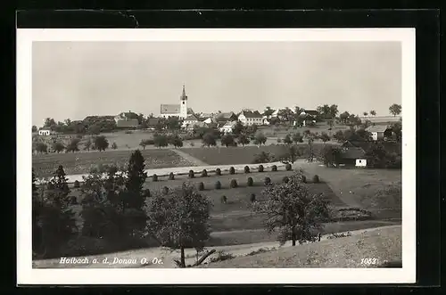 AK Haibach a. d. Donau, Ortsansicht mit Kirche