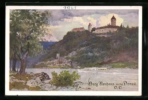 AK Burg Neuhaus an der Donau, Ortsansicht mit Dampfer