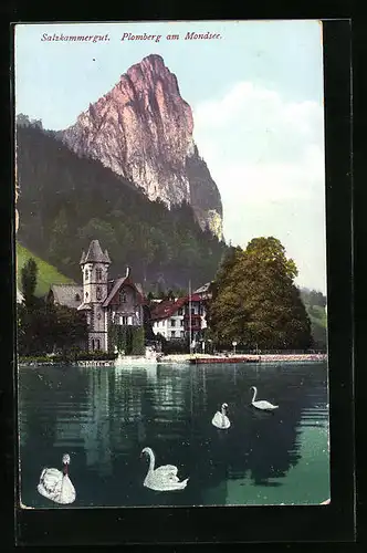 AK Plomberg am Mondsee, Salzkammergut, Uferpartie mit Drachenwand und Schwänen