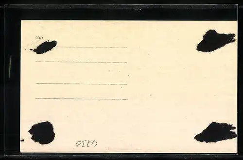 AK Waizenkirchen, Oberer Markt mit Geschäften