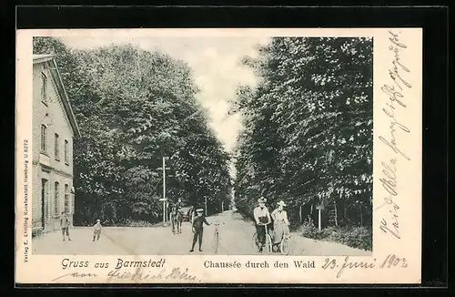AK Barmstedt, Chaussee durch den Wald, mit Radfahrerinnen