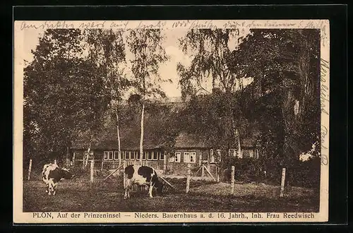 AK Plön, Niedersächsisches Bauernhaus Reedwisch auf der Prinzeninsel