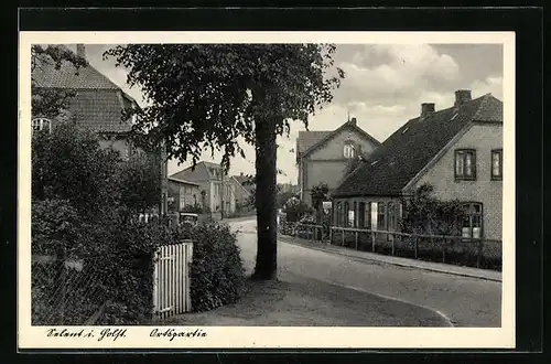 AK Selent i. Holst., Ortspartie mit Häusern