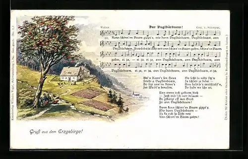 AK Lied Der Vuglbärbaam, Haus im Erzgebirge