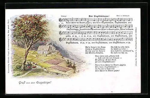 AK Lied Der Vuglbärbaam, Lied mit Noten und Haus im Erzgebirge