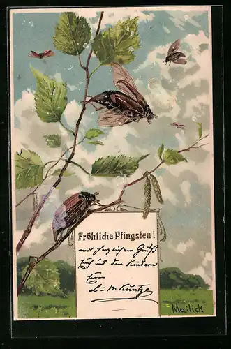 Präge-Künstler-AK Alfred Mailick: Maikäfer an einem Zweig, Pfingstgruss