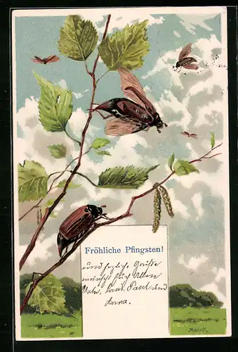 Künstler-AK Alfred Mailick: Maikäfer an einem Zweig, Pfingstgruss