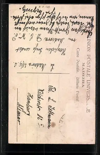 AK Madeira, Caminho do Monte, Descida de carros