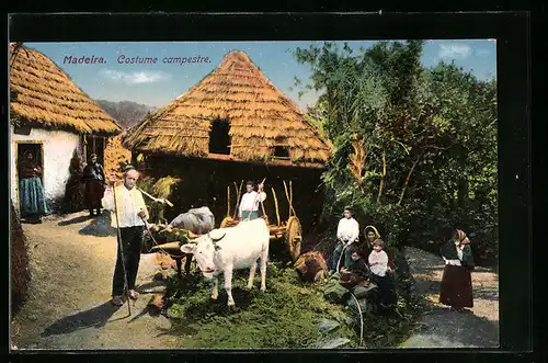 AK Madeira, Costume campestre