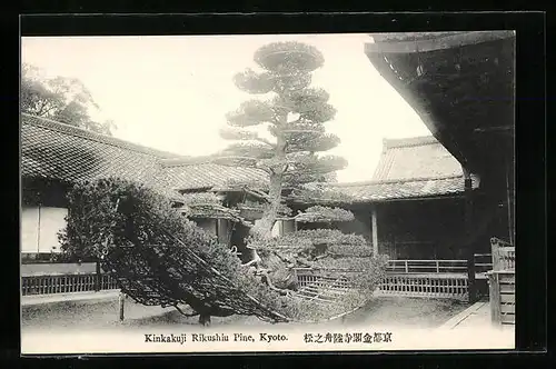 AK Kyoto, Kinkakuji Rikushiu Pine