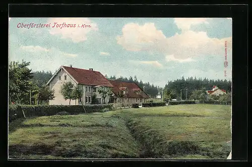 AK Torfhaus /Harz, Ansicht der Oberförsterei
