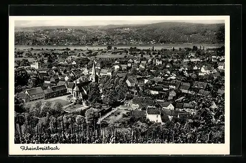 AK Rheinbreitbach, Totalansicht vom Weinberge aus