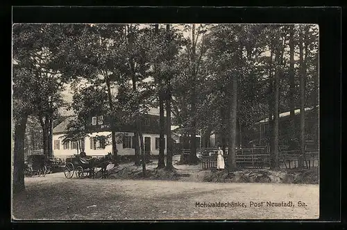 AK Neustadt i. Sa., Gasthaus Hochwaldschänke