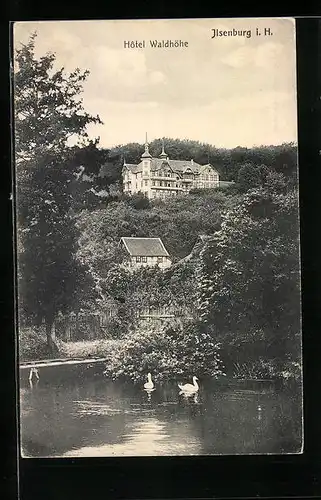 AK Ilsenburg i. H., Hotel Waldhöhe mit Schwanenteich