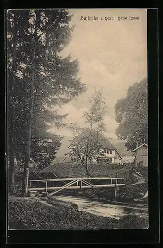 AK Schierke i. Harz, Haus Mook im Grünen