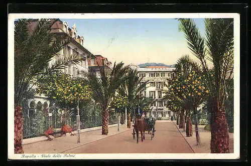 AK Rapallo, Viale delle Palme