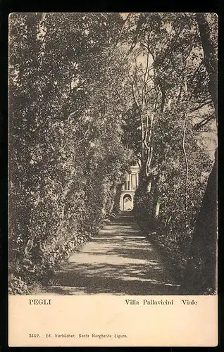 AK Pegli, Villa Pallavicini, Viale