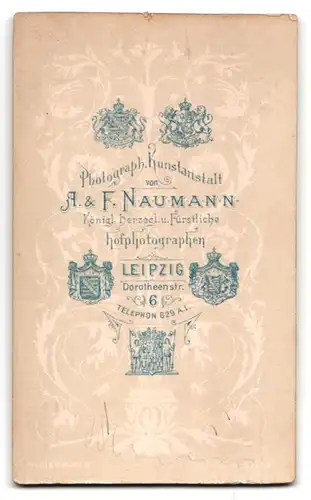 Fotografie A. & F. Naumann, Leipzig, Dorotheenstrasse 6, Junge Dame in modischer Kleidung