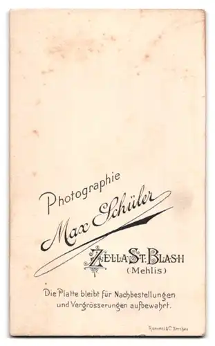 Fotografie Max Schüler, Zella-St. Blasii /Mehlis, Kleinkind im karierten Kleid
