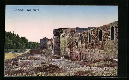 AK Damas / Damaskus, Les Murs, Stadtmauer