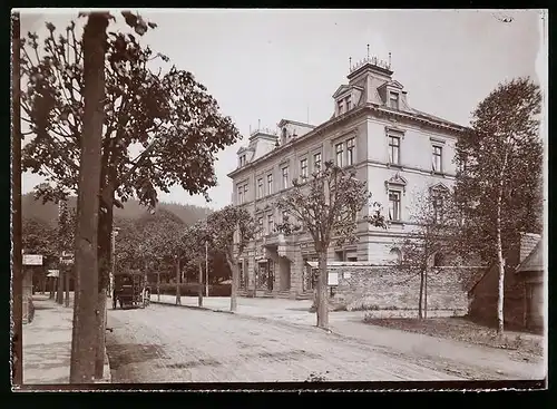 Fotografie Brück & Sohn Meissen, Ansicht Bad Elster, Villa New York, Pferdekutsche vom Hotel Reichsverweser