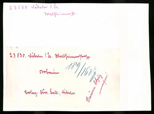 Fotografie Brück & Sohn Meissen, Ansicht Döbeln, Waldheimer Strasse mit Wohnhäusern