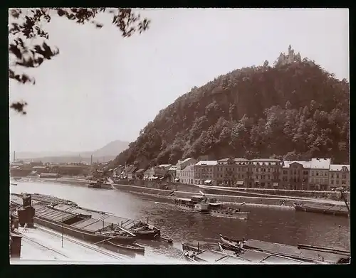 Fotografie Brück & Sohn Meissen, Ansicht Bodenbach / Elbe, Blick vom Frachthafen mit Raddampfer zum Ort, Schäferwand