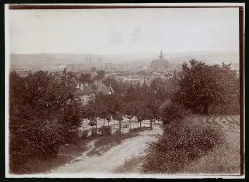 Fotografie Brück & Sohn Meissen, Ansicht Naumburg / Saale, Blick auf die Stadt mit der Kirche