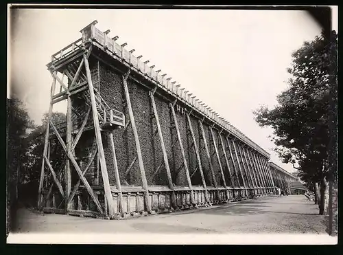 Fotografie Brück & Sohn Meissen, Ansicht Bad Kösen, Partie am Gradierwerk