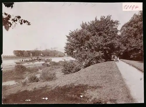 Fotografie Brück & Sohn Meissen, Ansicht Riesa / Elbe, Elbe Raddampfer am Stadtpark