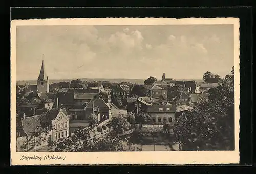 AK Lütjenburg /Ostholst., Teilansicht mit Strassenpartie