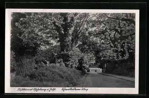 AK Ascheberg i. Holst., Strasse Schwiddeldeiner Weg mit Bäumen